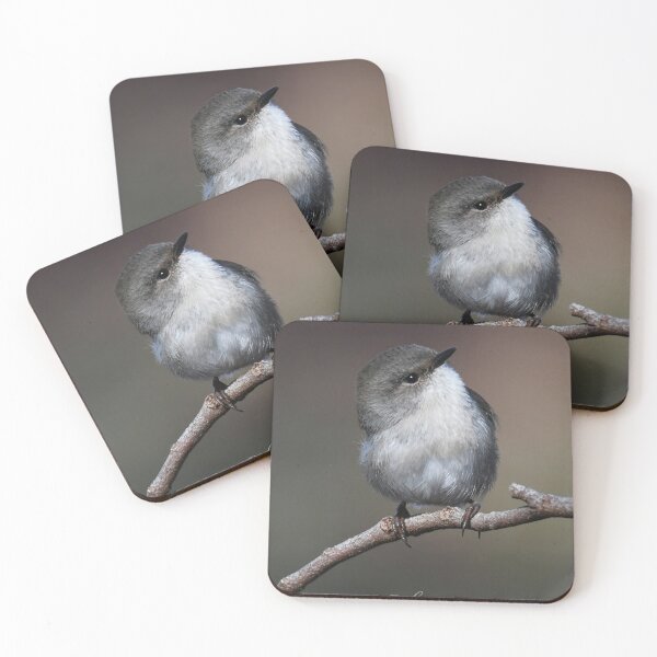 Item preview, SWEET Superb Fairy-wren designed and sold by Seesee.