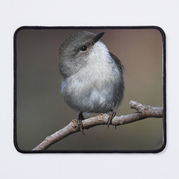 Item preview, SWEET Superb Fairy-wren designed and sold by Seesee.