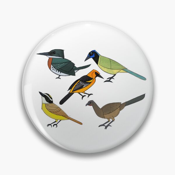 Item preview, South Texas Birds -- Green Kingfisher, Green Jay, Altamira Oriole, Great Kiskadee, Plain Chachalaca (Transparent)  designed and sold by BlueBowMimid.