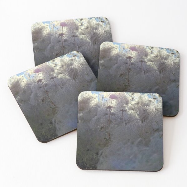 Item preview, Nature’s Light Show designed and sold by Betsy Phillips.