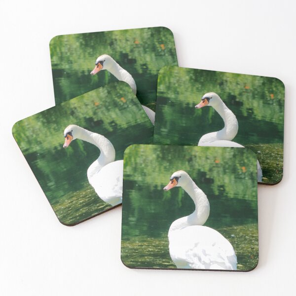 Item preview, Swan Staring at The Camera Looking Angry designed and sold by BackyardBirder.