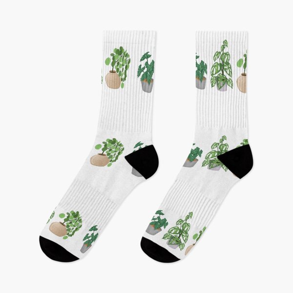 Item preview, Plant designed and sold by Bussaba-pk.