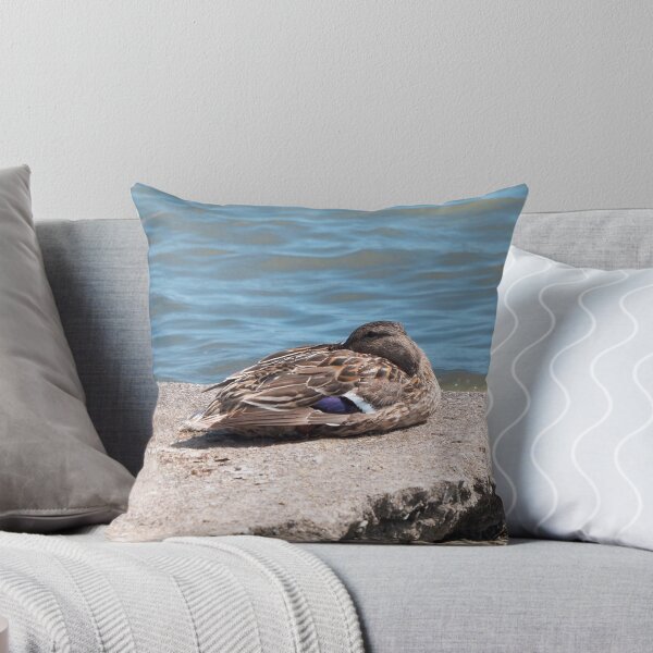 Item preview, Pato descansando en una roca junto al agua designed and sold by BackyardBirder.