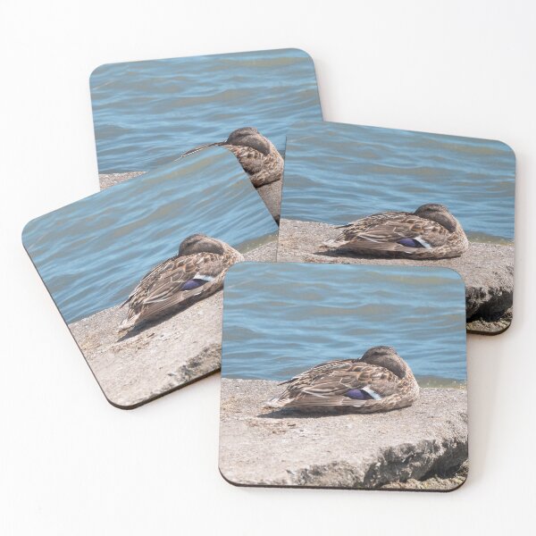 Item preview, Duck Resting On a Rock By The Water designed and sold by BackyardBirder.
