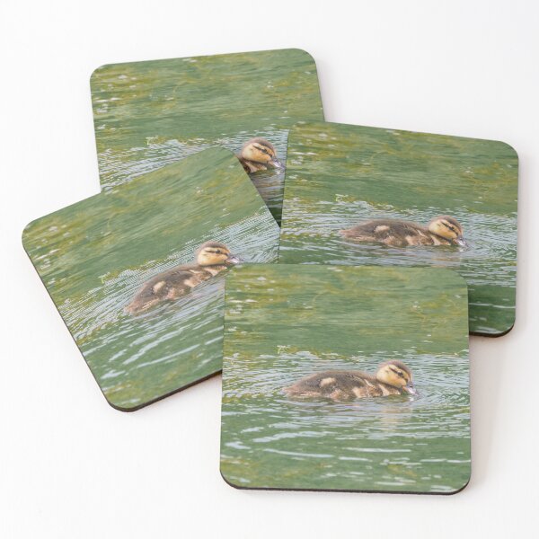 Item preview, Duckling Stare and Swim designed and sold by BackyardBirder.