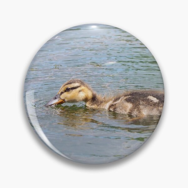 Item preview, Duckling Taking a Drink of The Pond Water designed and sold by BackyardBirder.