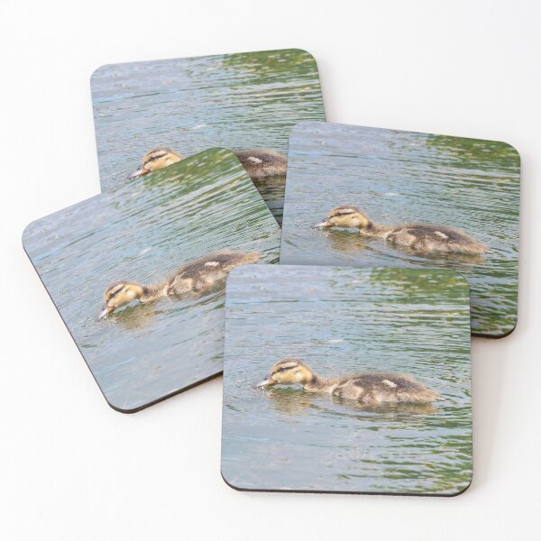 Item preview, Duckling Taking a Drink of The Pond Water designed and sold by BackyardBirder.
