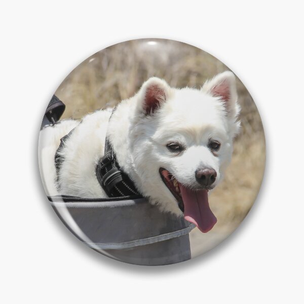 Item preview, Too Hot to Walk Today! designed and sold by heatherfriedman.
