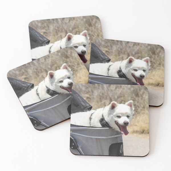 Item preview, Too Hot to Walk Today! designed and sold by heatherfriedman.