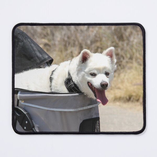 Item preview, Too Hot to Walk Today! designed and sold by heatherfriedman.