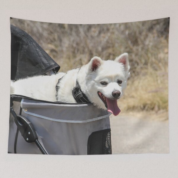 Item preview, Too Hot to Walk Today! designed and sold by heatherfriedman.