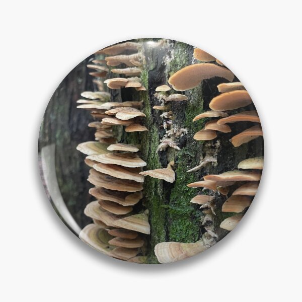 Item preview, Mushroom steps designed and sold by KeeperKraft.