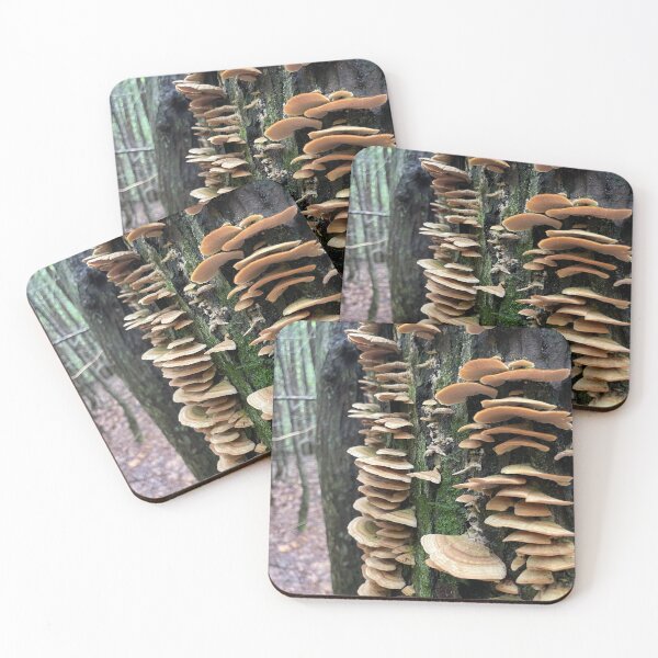 Item preview, Mushroom steps designed and sold by KeeperKraft.
