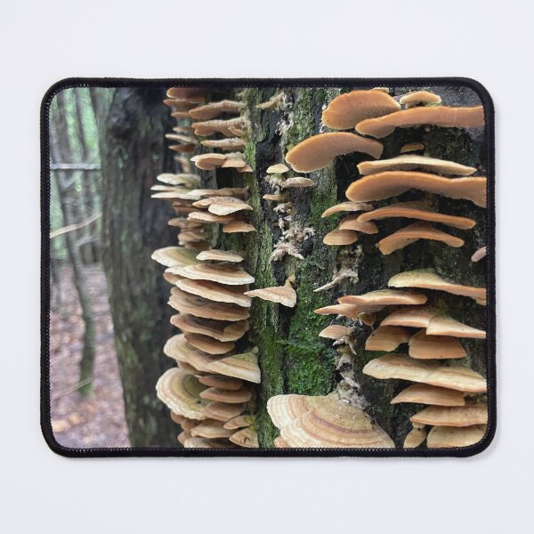 Item preview, Mushroom steps designed and sold by KeeperKraft.