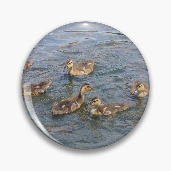 Item preview, Momma Duck Watching Her Ducklings designed and sold by BackyardBirder.