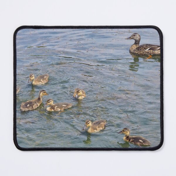 Item preview, Momma Duck Watching Her Ducklings designed and sold by BackyardBirder.