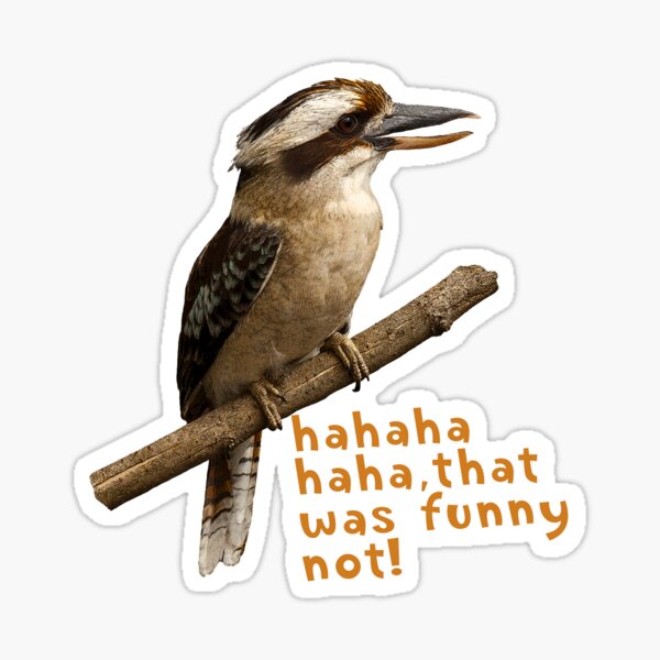 Item preview, Laughing Kookaburra Funny quote designed and sold by SEADOGPRINTS.