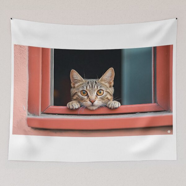Tapestry