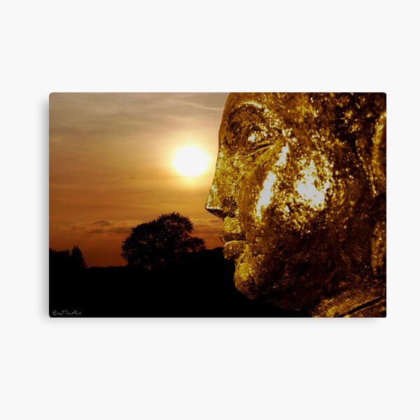 Meditation Canvas Print