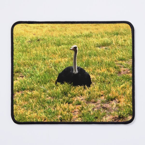 Item preview, Legless Ostrich designed and sold by Yolanda Caporn Art.
