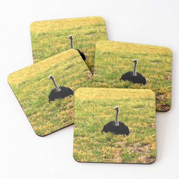 Item preview, Legless Ostrich designed and sold by Yolanda Caporn Art.
