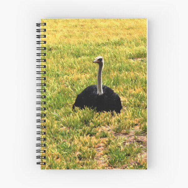Item preview, Legless Ostrich designed and sold by Yolanda Caporn Art.