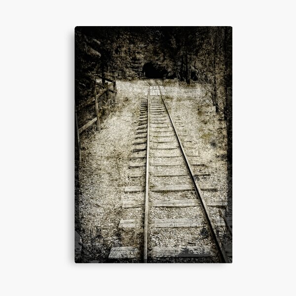Old Tracks Canvas Print