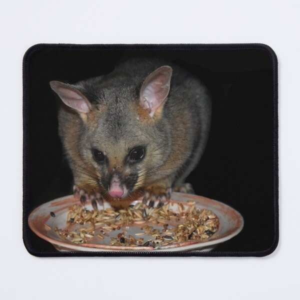 Item preview, Possum Dining Alfresco designed and sold by Yolanda Caporn Art.