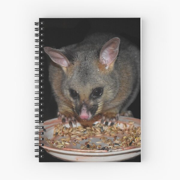 Item preview, Possum Dining Alfresco designed and sold by Yolanda Caporn Art.