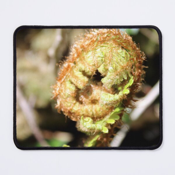 Item preview, fern designed and sold by KathleenDawson.