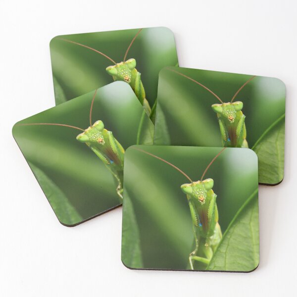 Item preview, Watching Me Watching You - Praying Mantis designed and sold by Siene Browne.