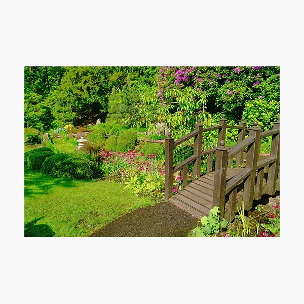Item preview, Harrogate Garden of Serenity designed and sold by Alisonchambers2.