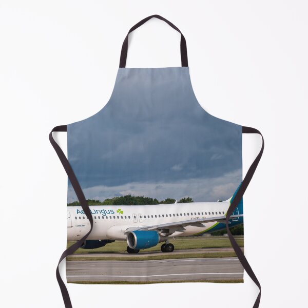 Item preview, MAN to DUB Aer Lingus Airbus A320-214 designed and sold by Skyframe Aviation.