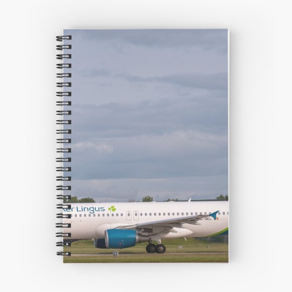 Item preview, MAN to DUB Aer Lingus Airbus A320-214 designed and sold by Skyframe Aviation.