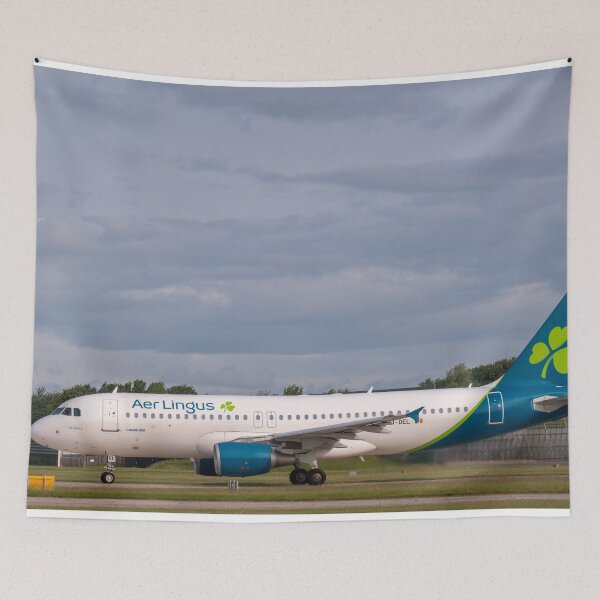 Item preview, MAN to DUB Aer Lingus Airbus A320-214 designed and sold by Skyframe Aviation.