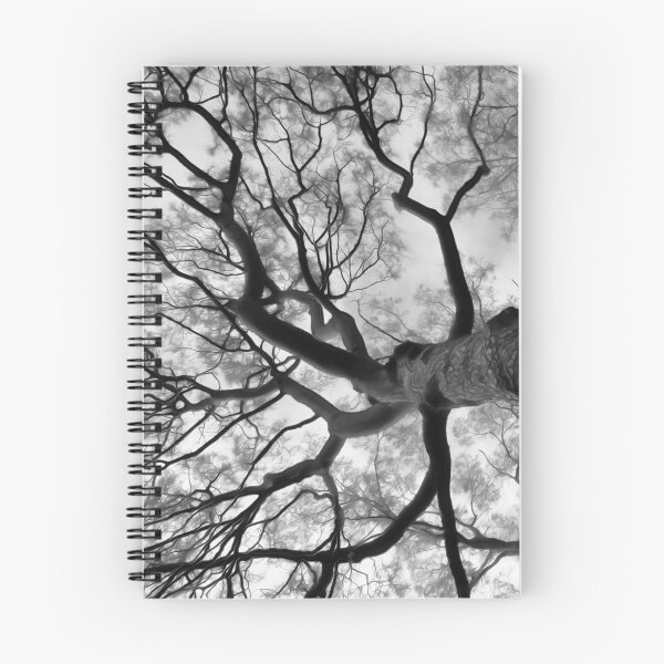 Item preview, Looking Upward designed and sold by Yolanda Caporn Art.