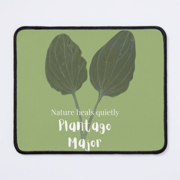 Item preview, Plantago Major - Nature heals quietly designed and sold by MotivTrustArt.