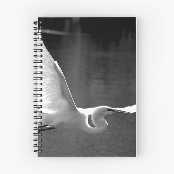Item preview, Flying Great White Egret Black And White designed and sold by MercerImages.