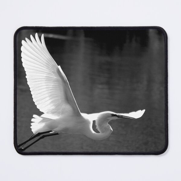 Item preview, Flying Great White Egret Black And White designed and sold by MercerImages.