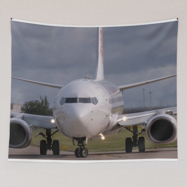 Item preview, MAN to ATH Jet 2 Boeing 737-8K5 designed and sold by Skyframe Aviation.