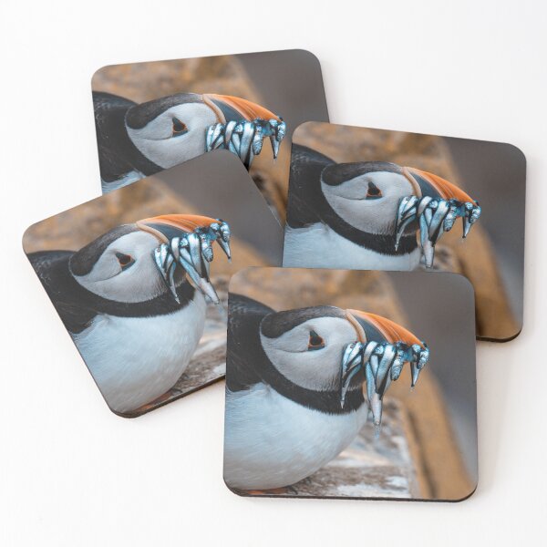 Item preview, 'Morning Meal' Puffin photography print designed and sold by sixfourthreetwo.