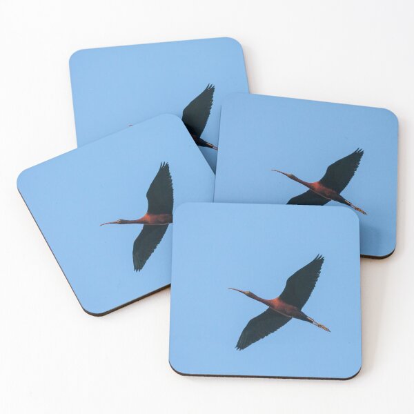 Item preview, Glossy Ibis Flyby designed and sold by Ralph Goldsmith.