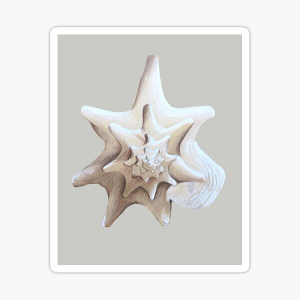 Item preview, Copy of Shell Portrait IV on a neutral ground designed and sold by LisaLeQuelenec.