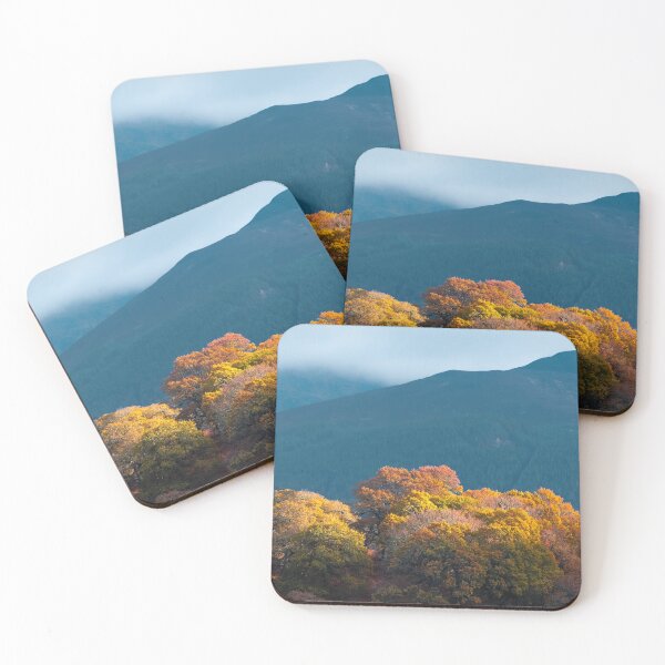 Item preview, Autumn at Tay Forest Park designed and sold by David Bowman.