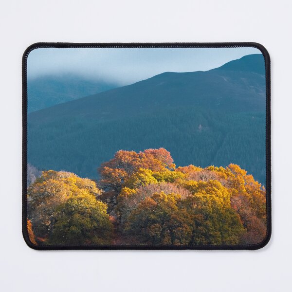 Item preview, Autumn at Tay Forest Park designed and sold by David Bowman.