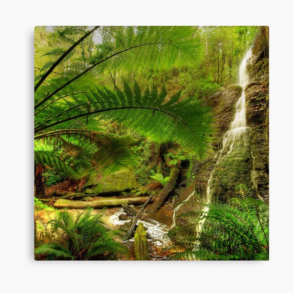 Item preview, Fern garden, Otway Ranges designed and sold by Kevin McGennan.