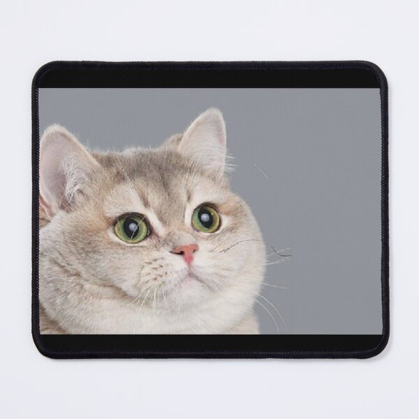 Item preview, Orginal Heavy Breathing Cat Meme Fluffy Funny Pawsomeness  designed and sold by electrovista.