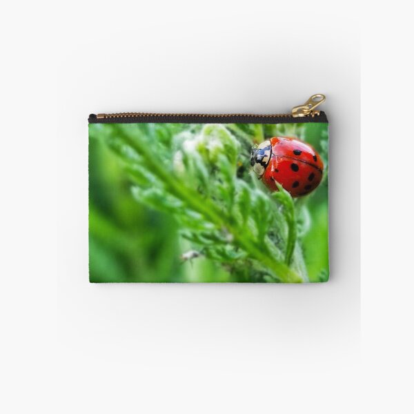 Item preview, LadyBug  designed and sold by RoyalSunGate.