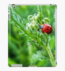 LadyBug iPad Case/Skin