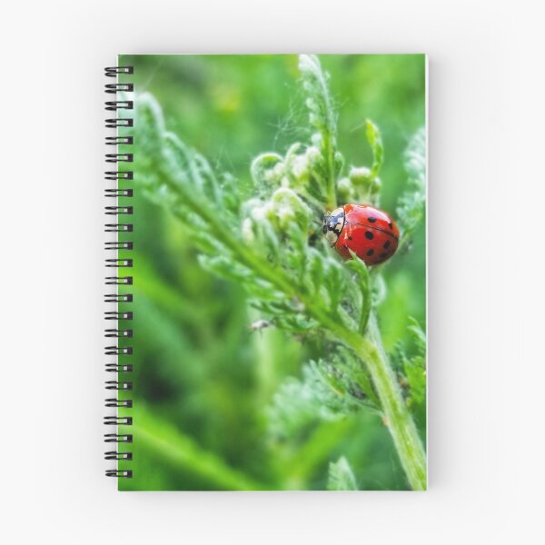 Item preview, LadyBug  designed and sold by RoyalSunGate.